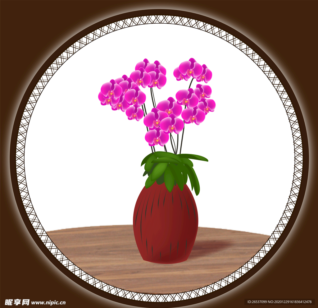 兰花