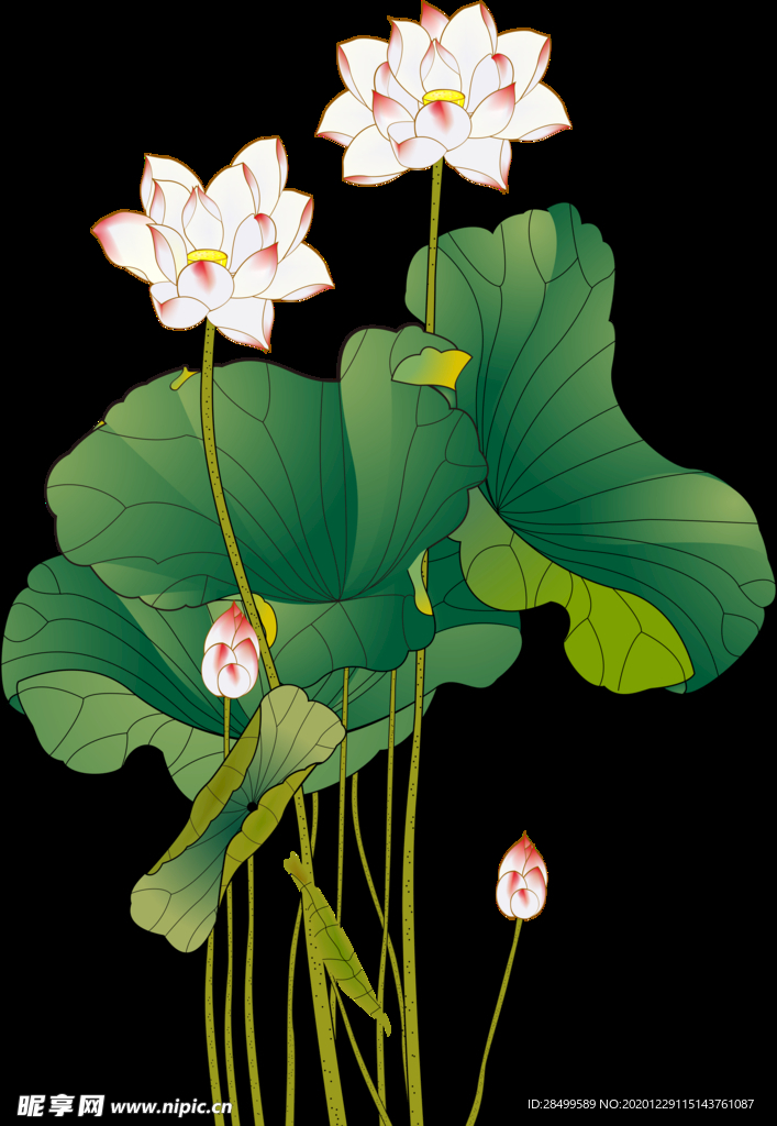 工笔画素材
