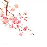 工笔画素材
