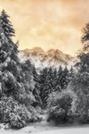 银松群山雪景