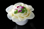 蔬菜沙拉