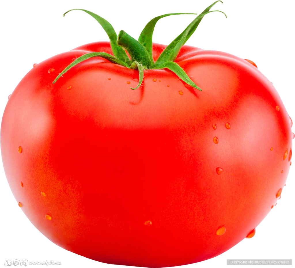 西红柿 粉柿子 番茄