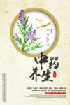 中药养生传统活动宣传海报素材