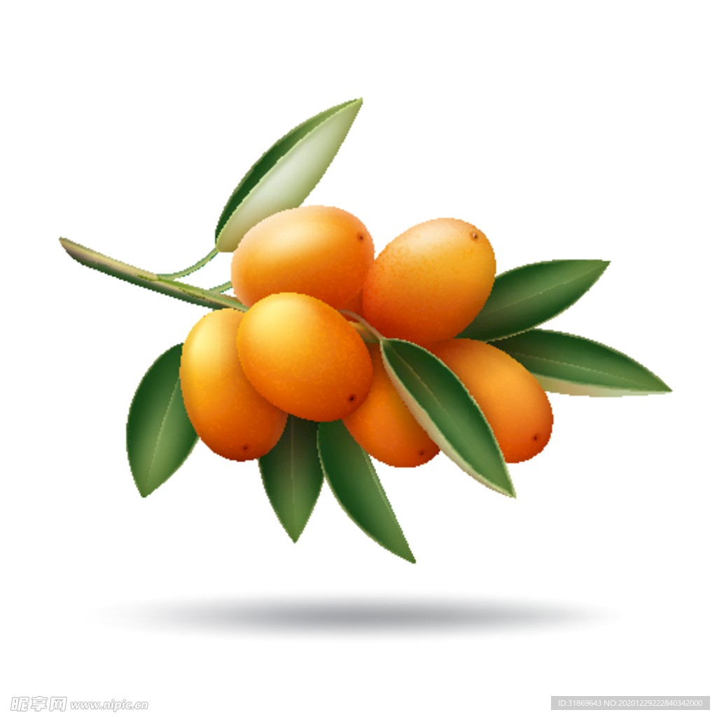 水果 蔬菜
