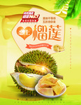 榴莲海报