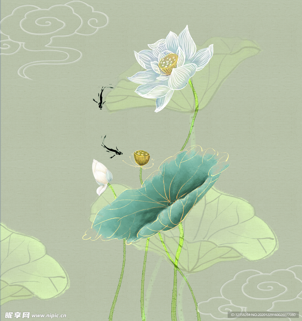荷花图