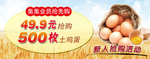 淘宝鸡蛋轮播图