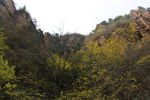 山与树