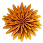 立体浮雕花朵免扣元素PNG
