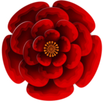 立体浮雕花朵免扣元素PNG