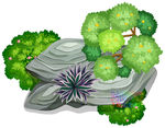 环境艺术植物顶视图