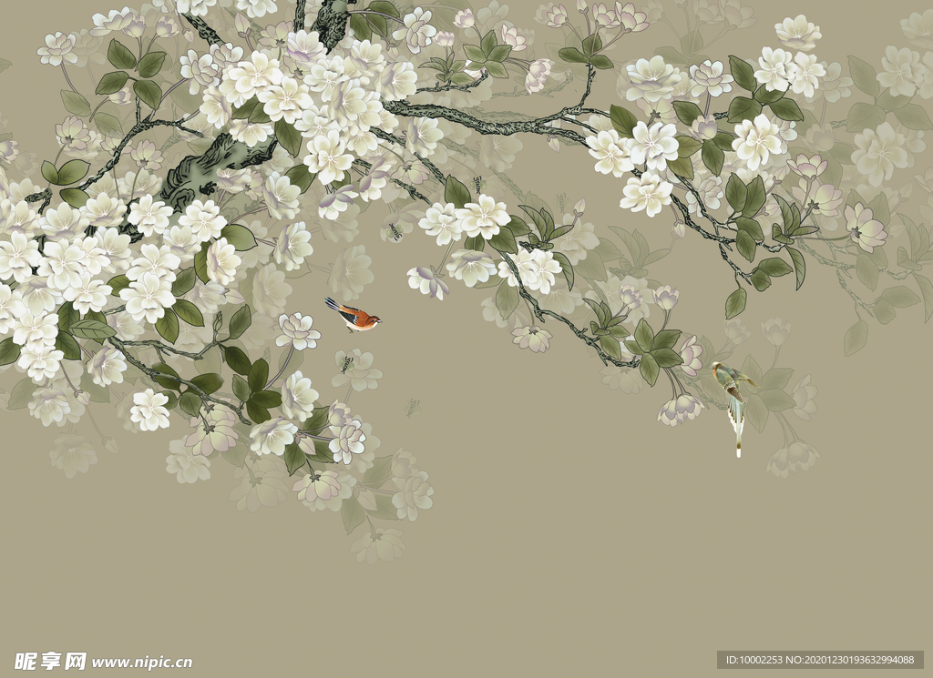 花鸟图