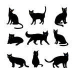 猫剪影