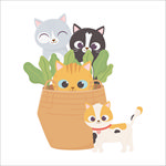 手绘卡通猫