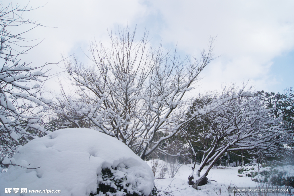 雪景