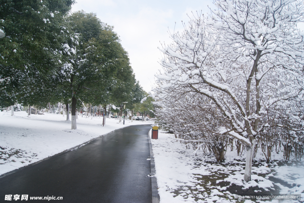 公园雪景