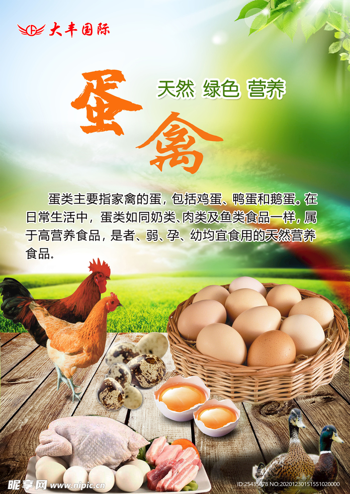 蛋禽海报灯箱