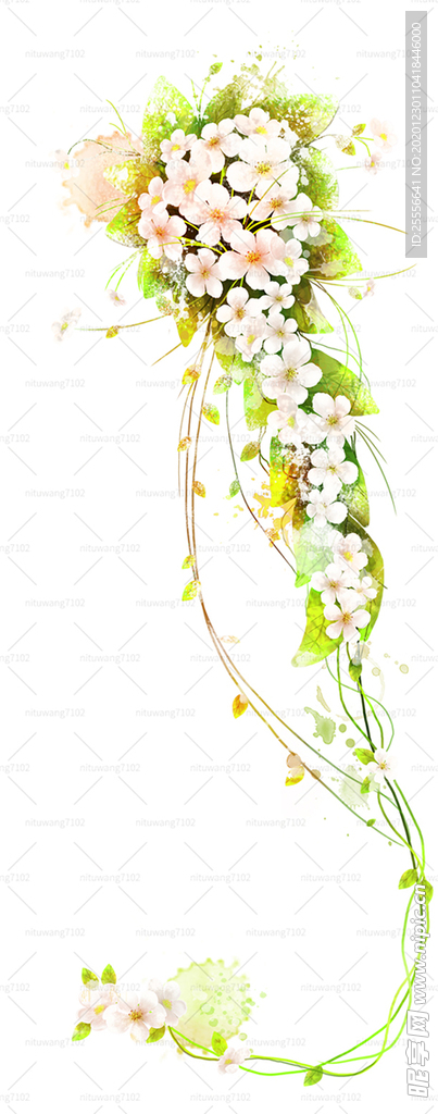 手绘鲜花