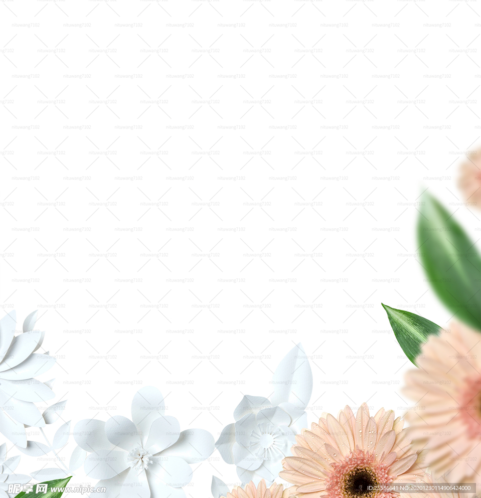 鲜花边框