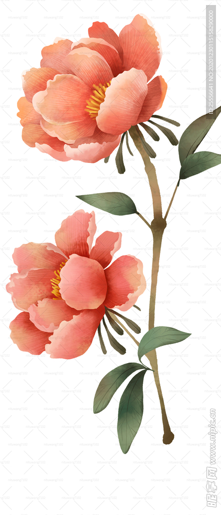 橘色鲜花