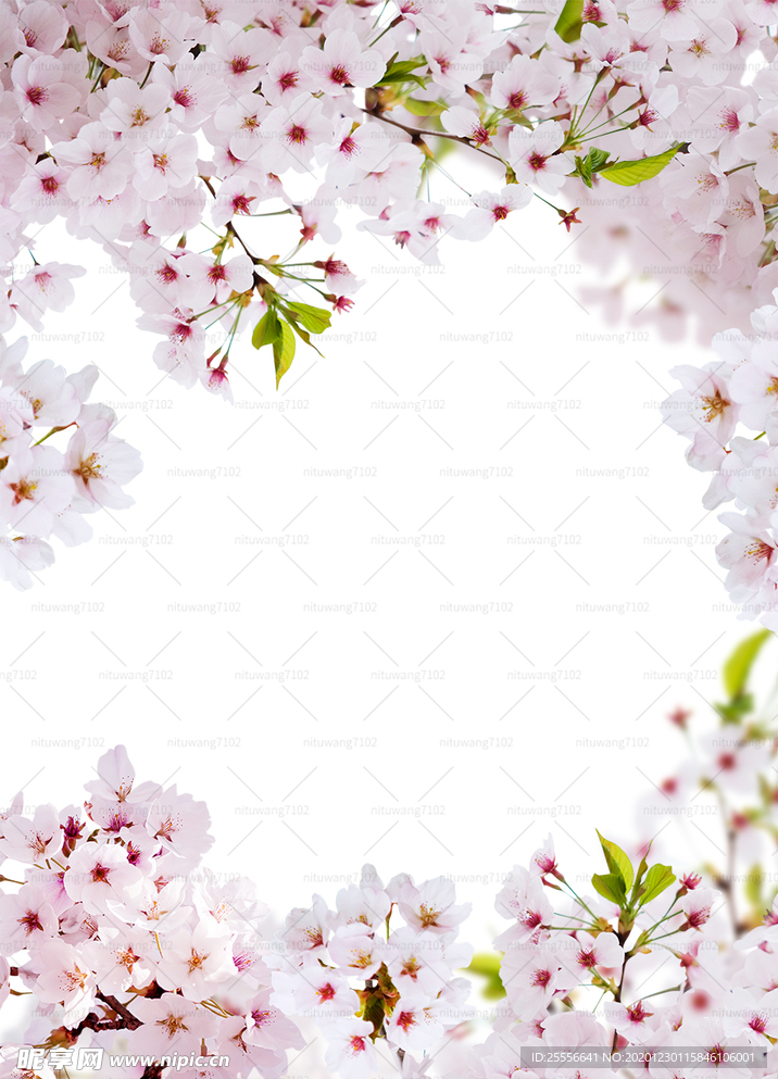 鲜花边框