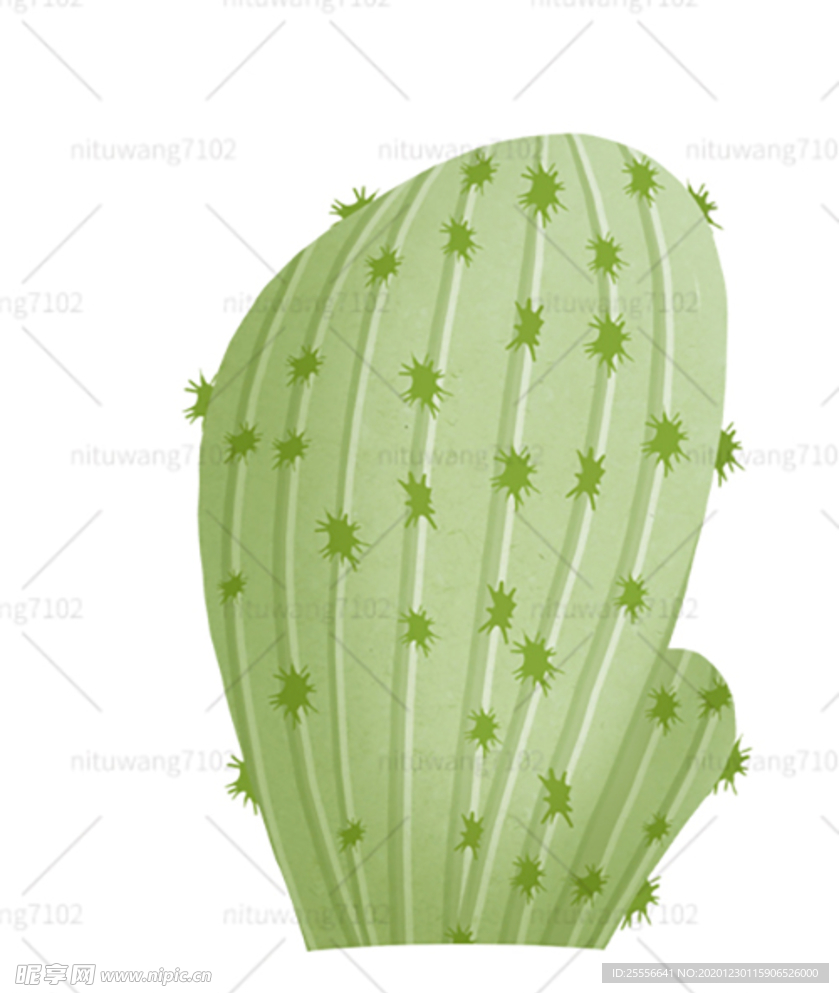 仙人掌