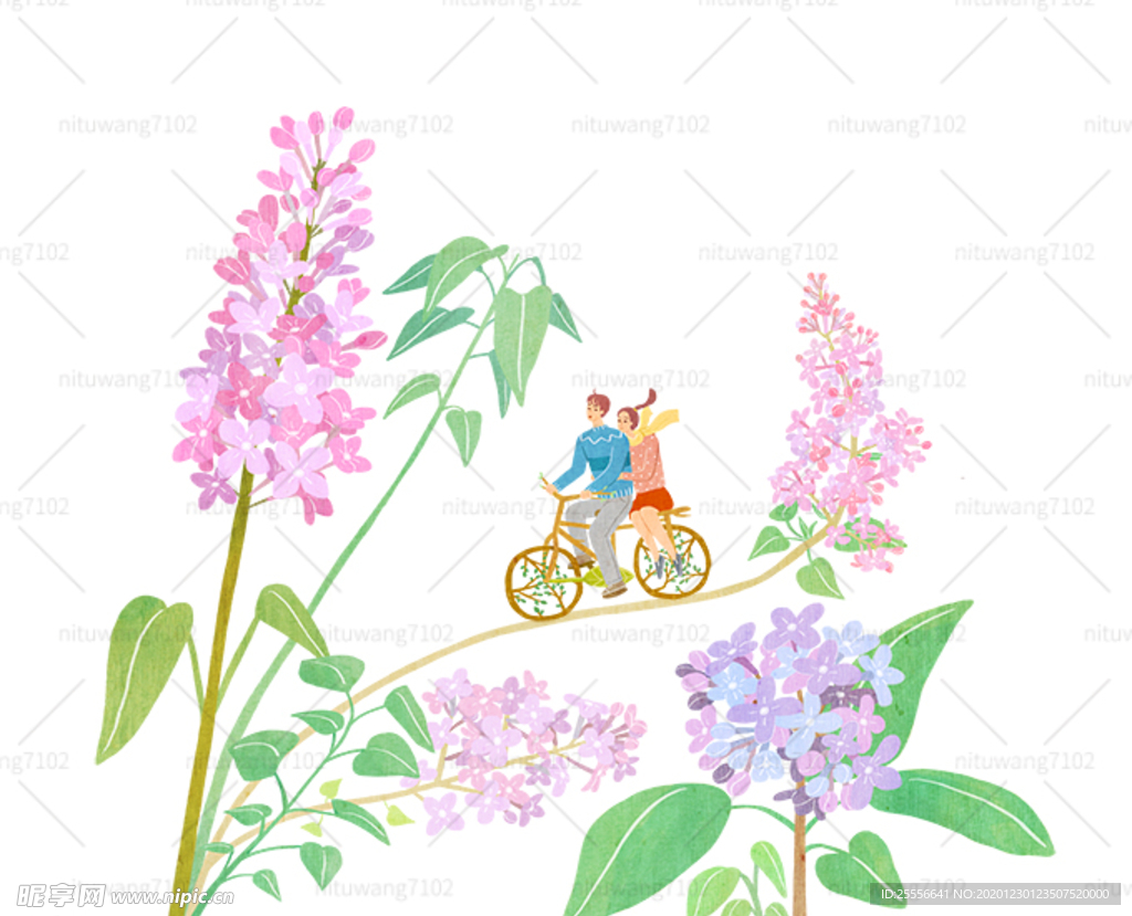 鲜花插画