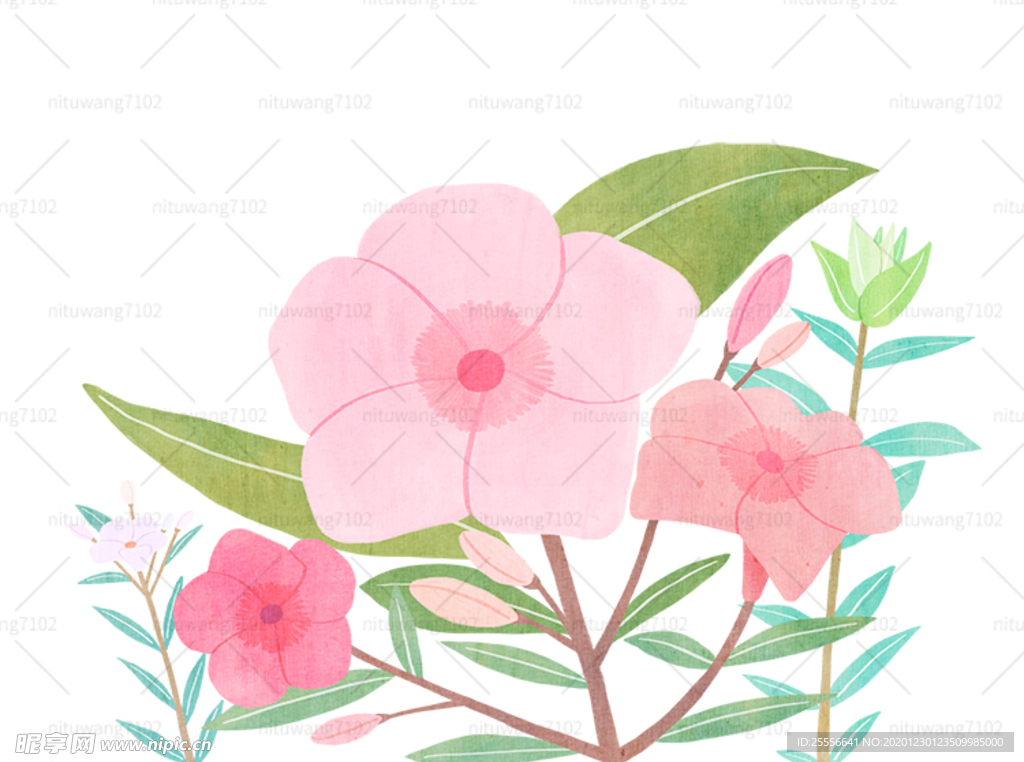 手绘鲜花