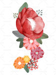 手绘鲜花 手绘花朵