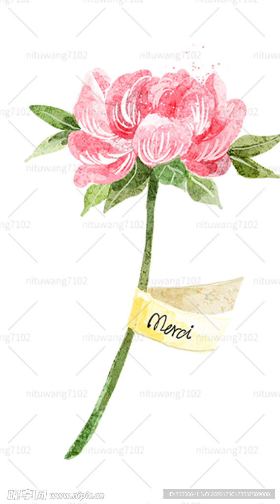 手绘鲜花