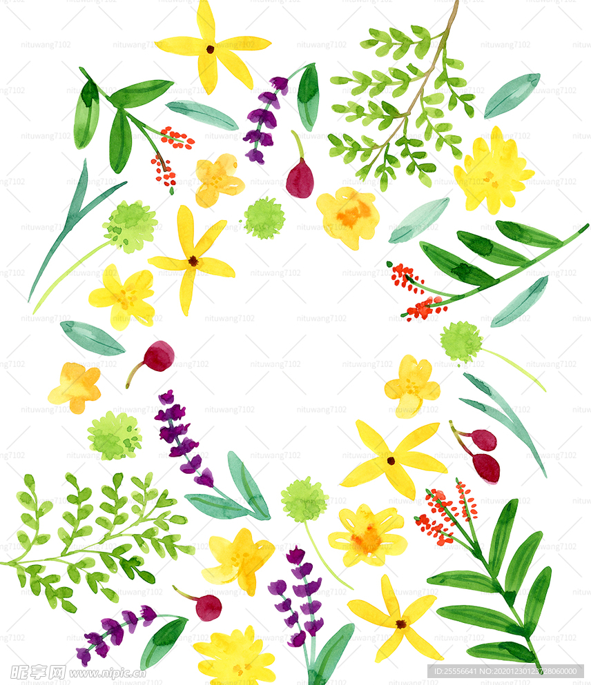 花草边框