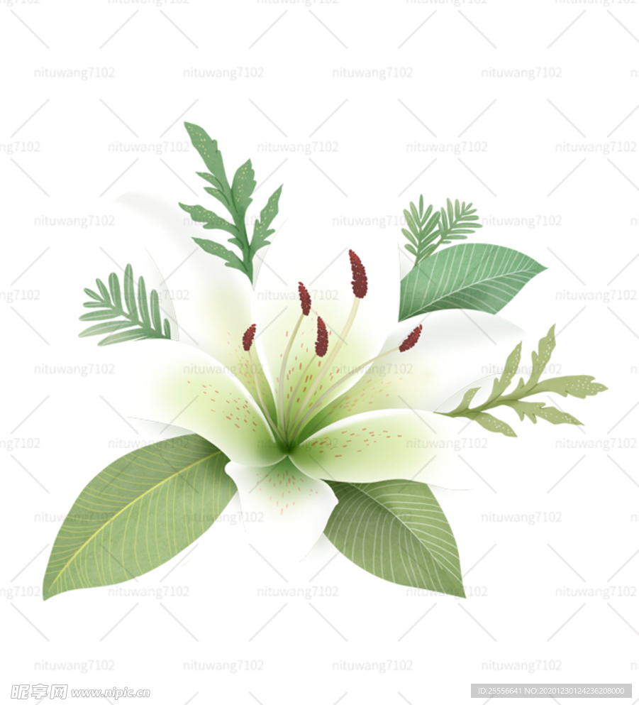 手绘花朵