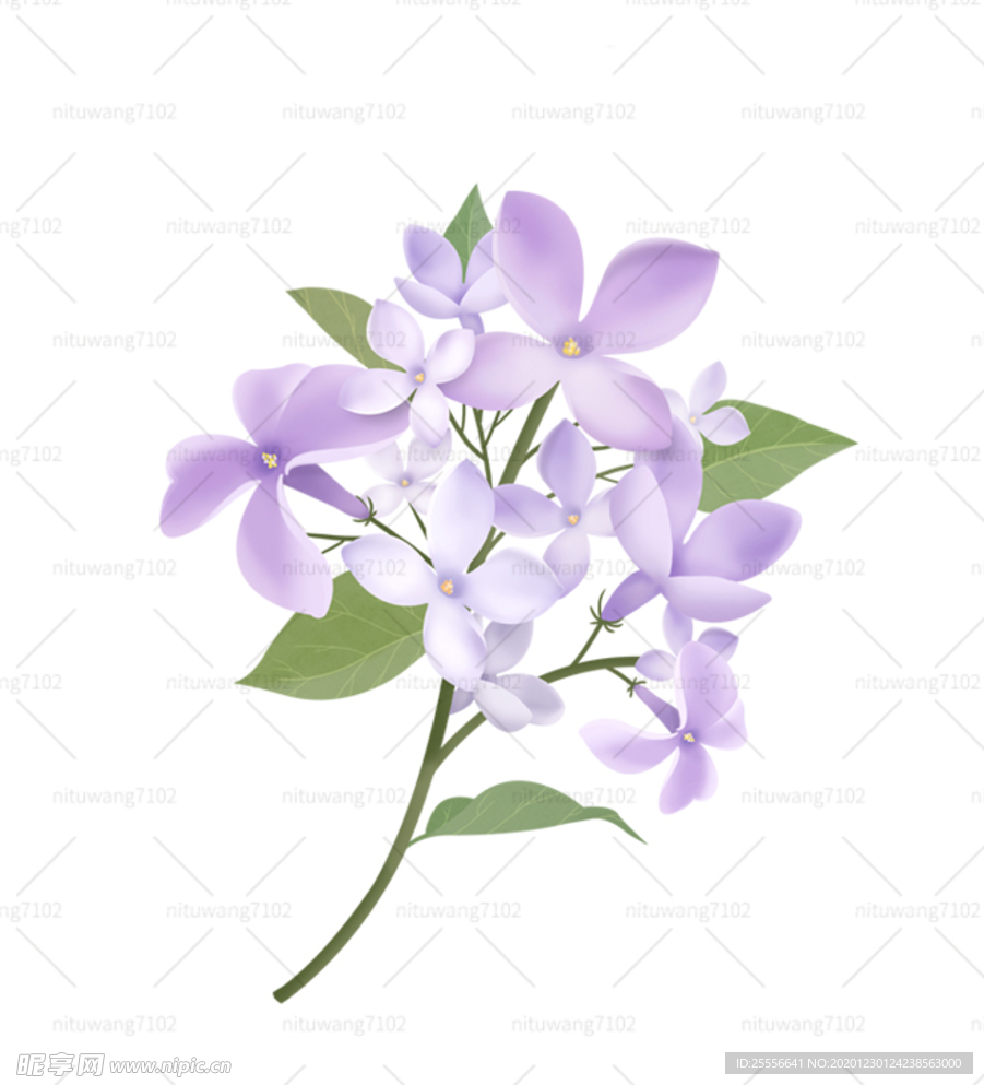 手绘花朵