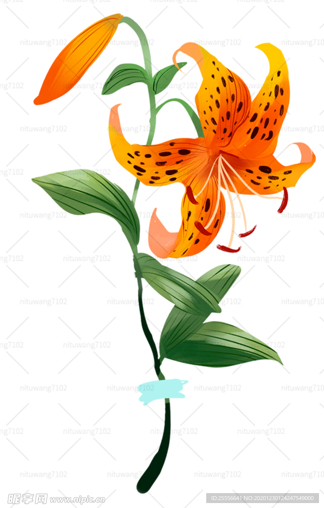 手绘花朵