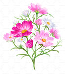粉色鲜花