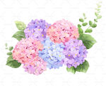 手绘多彩鲜花