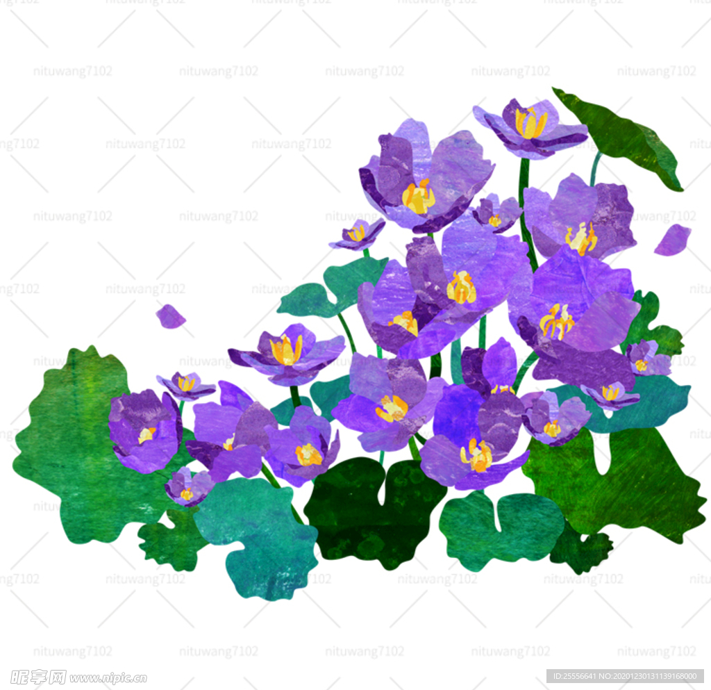 紫色鲜花插画