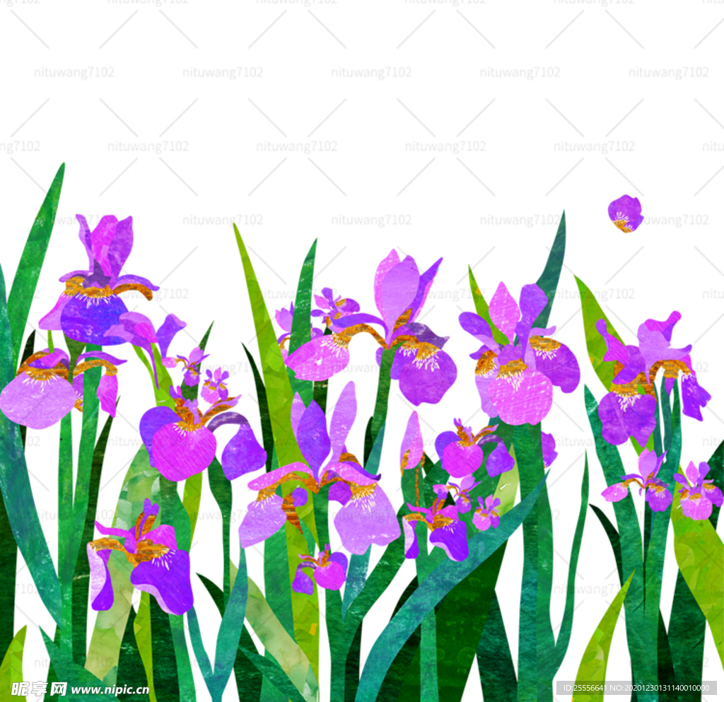 紫色鲜花插画