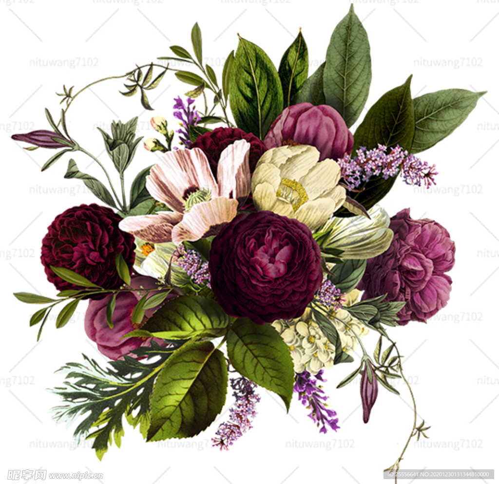国画鲜花