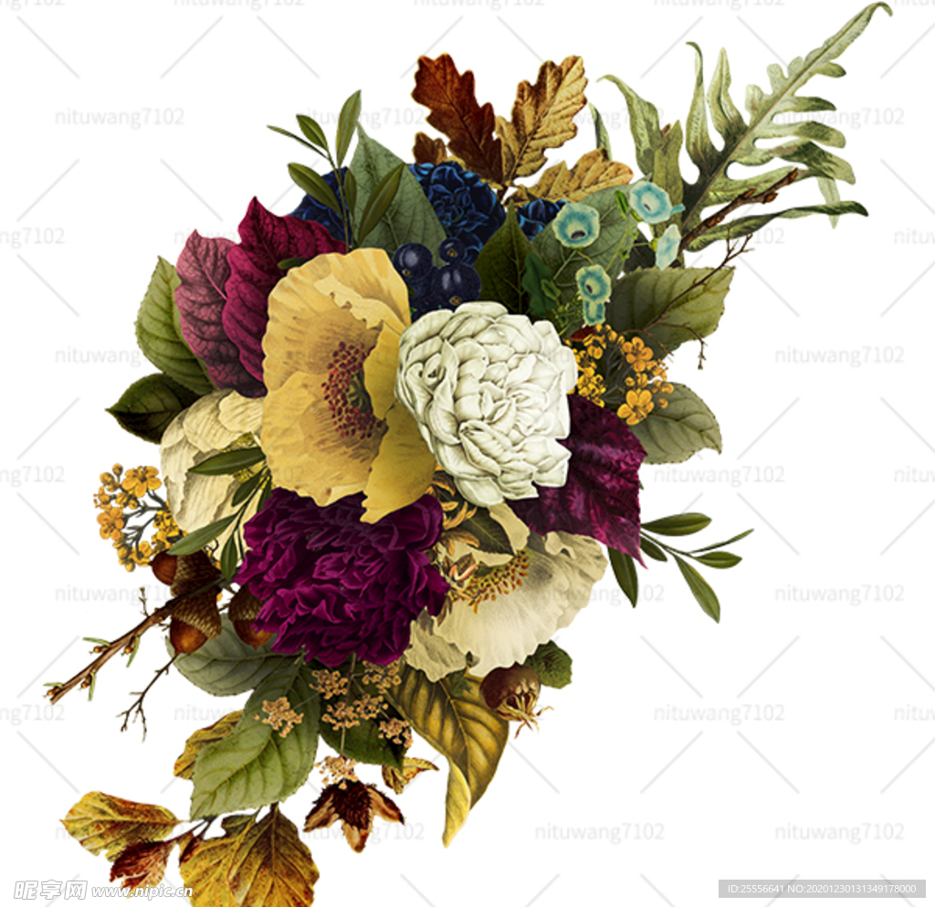 国画鲜花