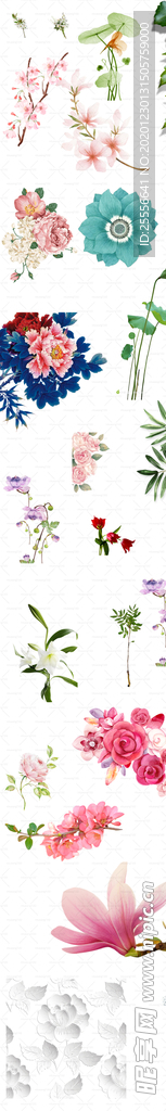 鲜花树叶
