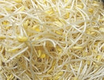 豫菜
