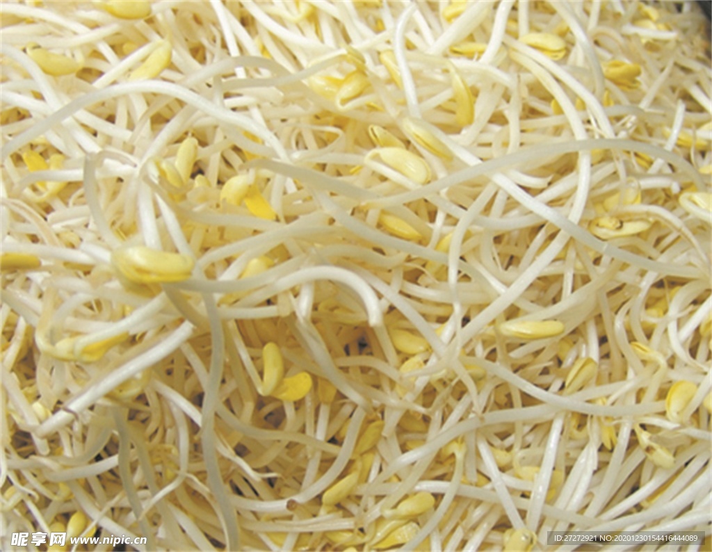 豫菜
