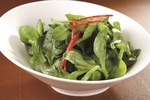 浙菜