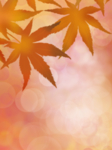 背景素材