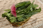 豫菜