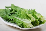 豫菜