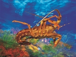 浙菜