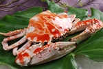 浙菜