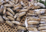浙菜